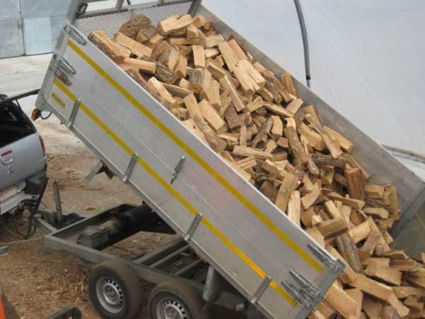 stijfheid muis verlamming Brandhout Koen - Kwaliteitsbrandhout in Evergem en omstreken